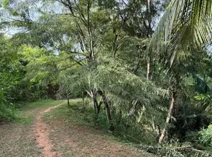 Pallebadda Land for Sale ( RLS - 864 )