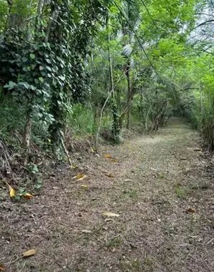 Pallebadda Land for Sale ( RLS - 864 )