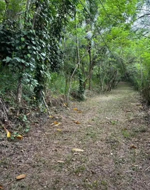 Pallebadda Land for Sale ( RLS - 864 )