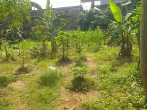Land For Sale In Biyagama - බියගම ප්‍රදේශයෙන් වටිනා ඉඩමක් විකිණීමට