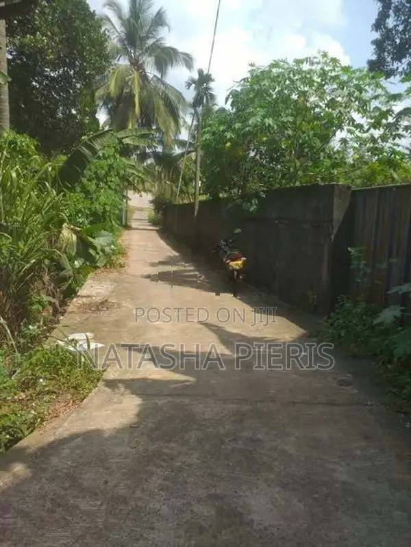 Land For Sale In Biyagama - බියගම ප්‍රදේශයෙන් වටිනා ඉඩමක් විකිණීමට