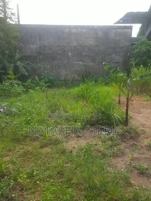 Land For Sale In Biyagama - බියගම ප්‍රදේශයෙන් වටිනා ඉඩමක් විකිණීමට