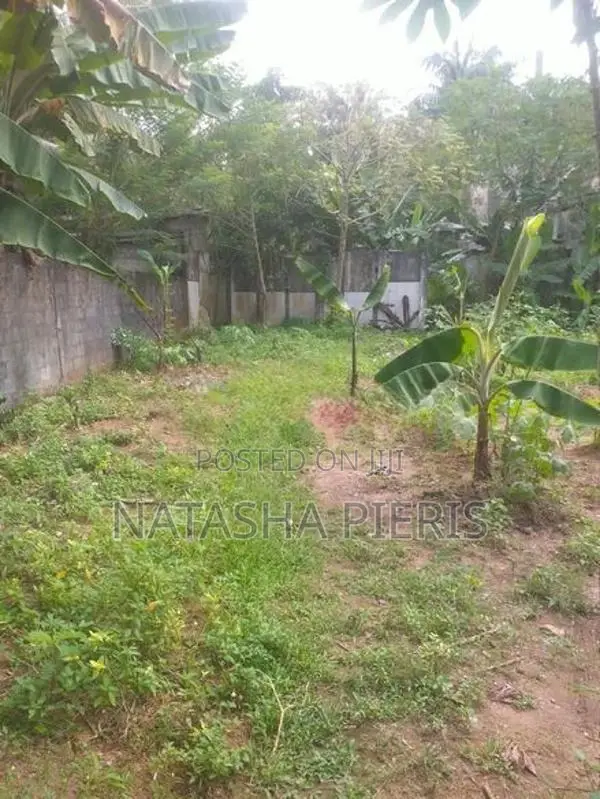 Land For Sale In Biyagama - බියගම ප්‍රදේශයෙන් වටිනා ඉඩමක් විකිණීමට