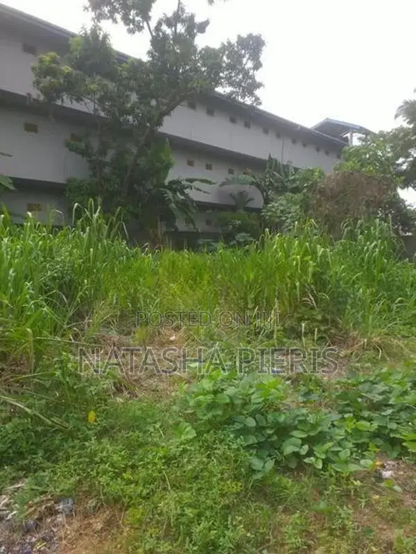 Land For Sale In Biyagama - බියගම ප්‍රදේශයෙන් වටිනා ඉඩමක් විකිණීමට