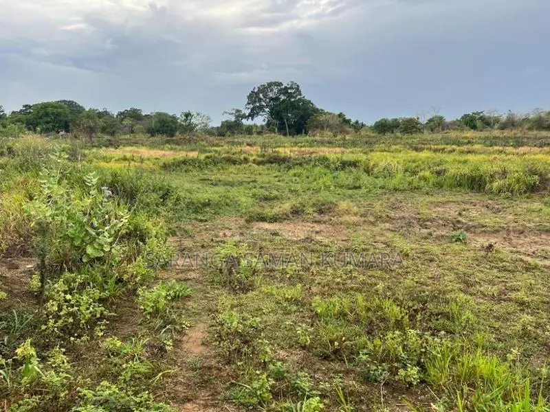 Land for Sale in Wellawaya