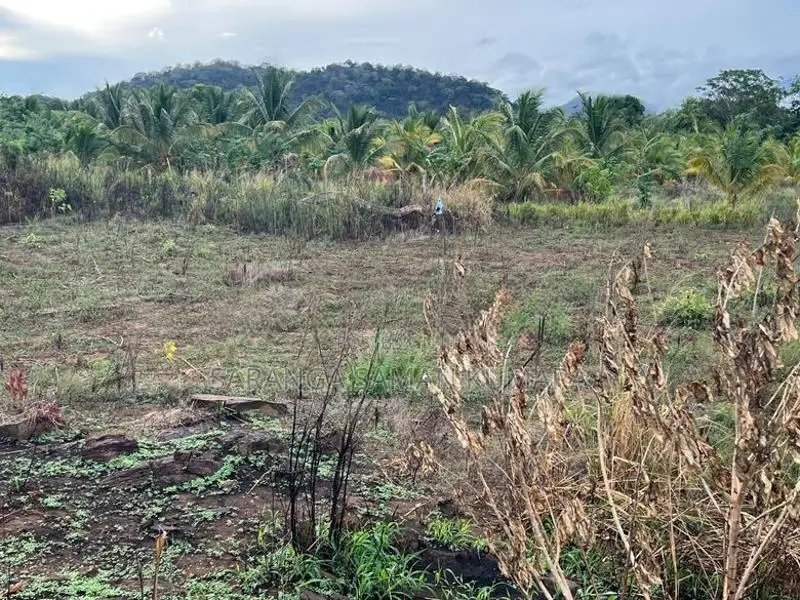 Land for Sale in Wellawaya