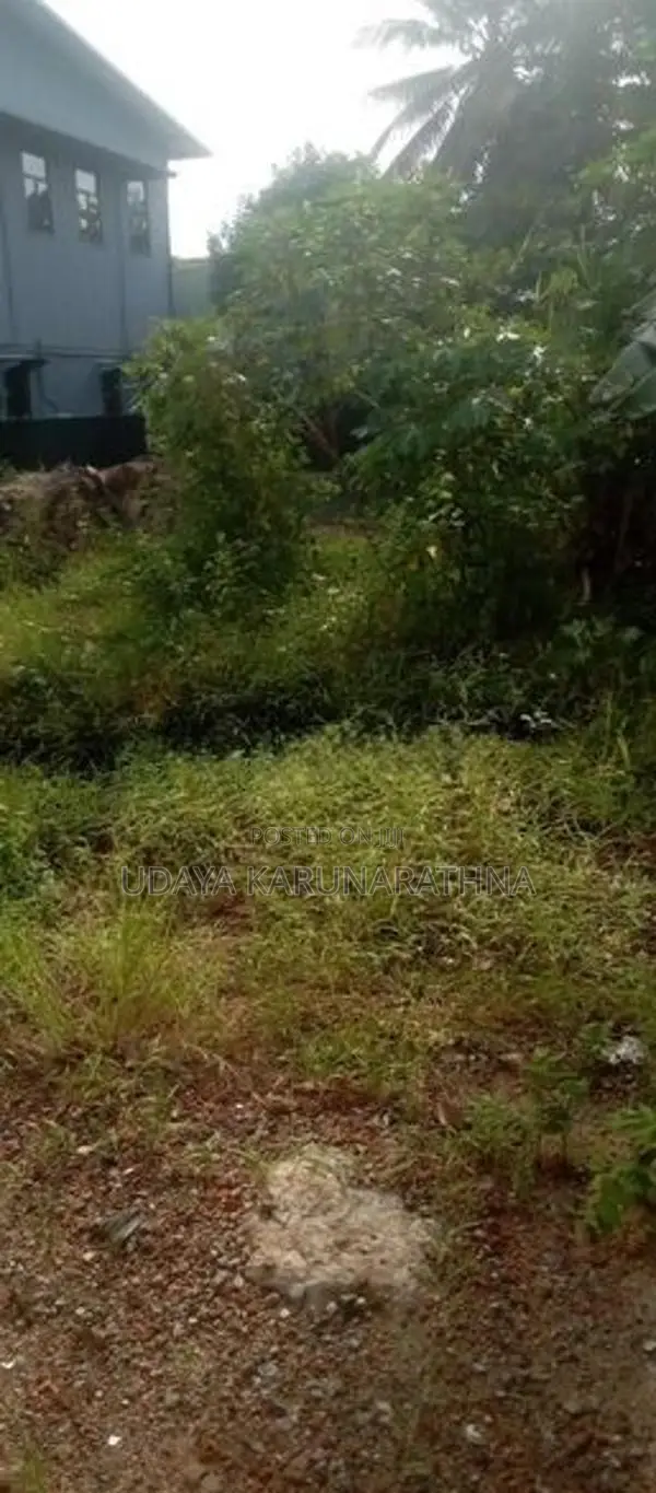 LAND FOR SALE WALLAMPITIYA