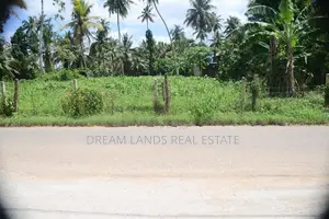 COMMERCIAL LAND FOR RENT IN KALAGEDIHENA (SP1374)