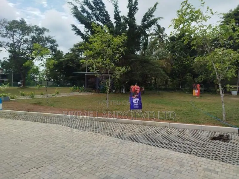 බොරලැස්ගමුව ගංගාරාම පාරෙන් බිම් කොටස් විකිණීමට