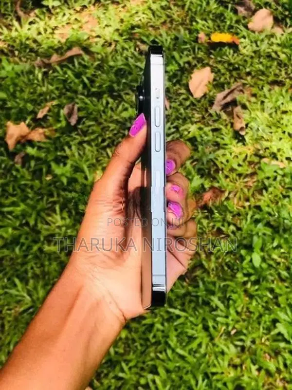 Apple iPhone 13 Pro (Used)
