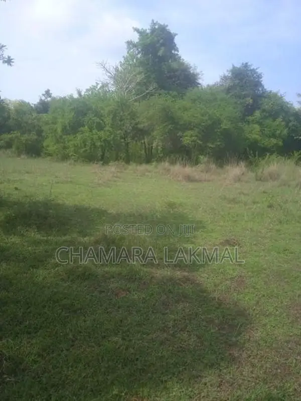 Land for Sale in Anuradhapura