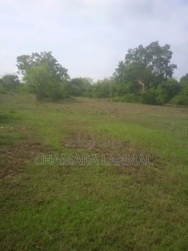 Land for Sale in Anuradhapura