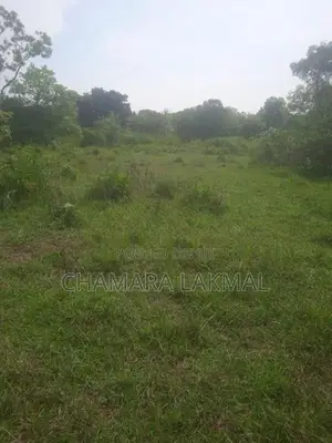 Land for Sale in Anuradhapura