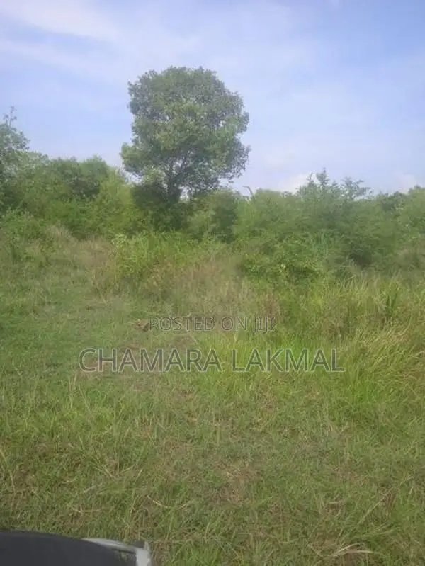 Land for Sale in Anuradhapura