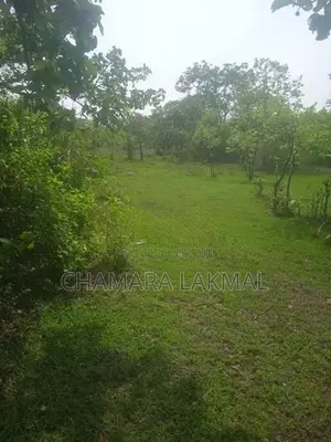 Land for Sale in Anuradhapura
