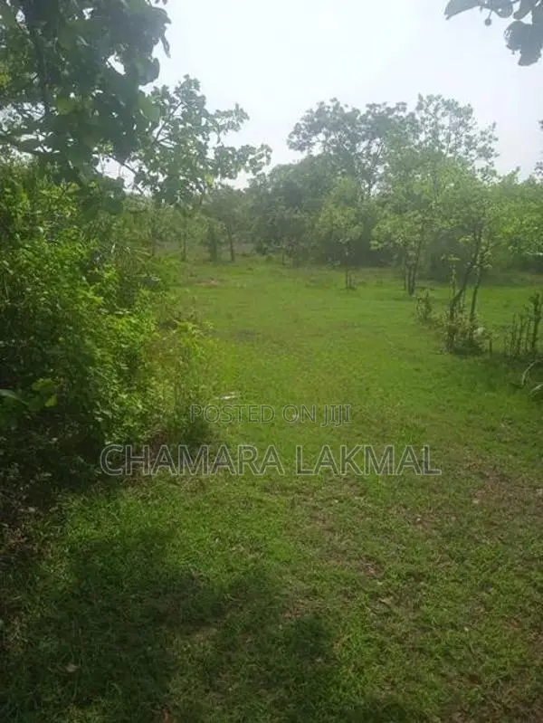 Land for Sale in Anuradhapura