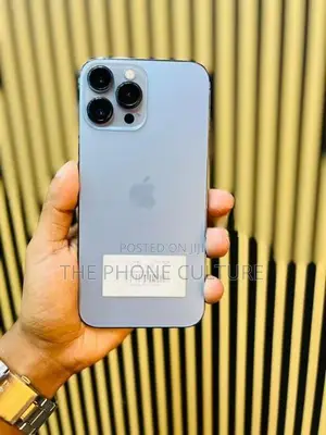 Apple iPhone 13 Pro Max 256GB (Used)