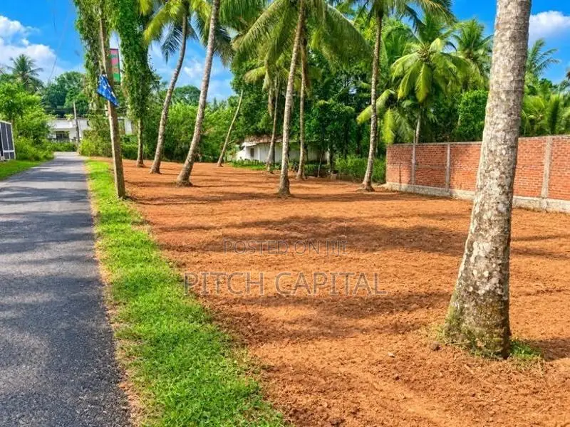 Plots of Land for Sale in Artigala Area