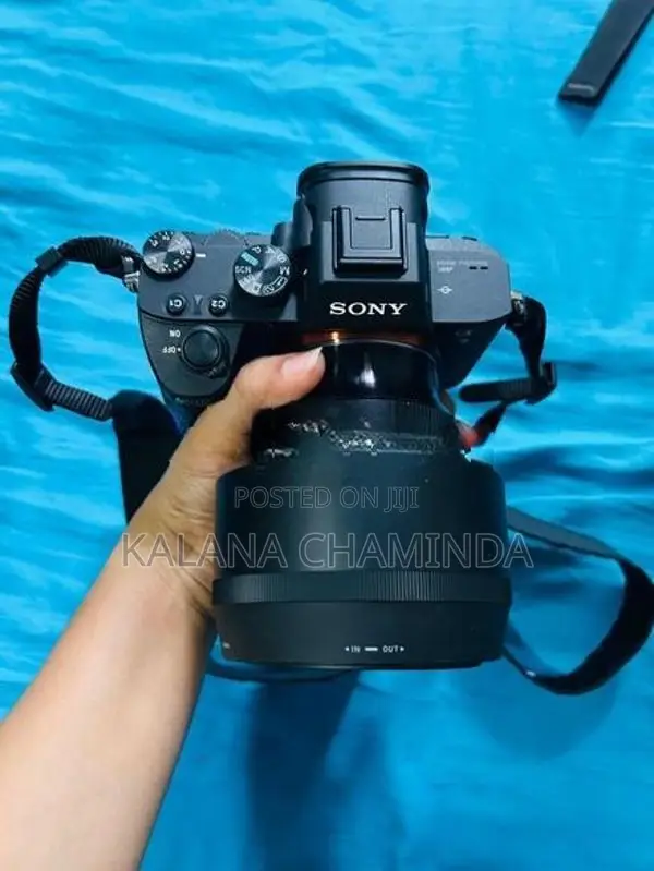 Sony a7iii With Sigma 85mm