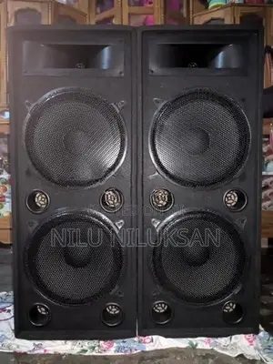 12 Inch Dual Top Speaker Box With Amplifier