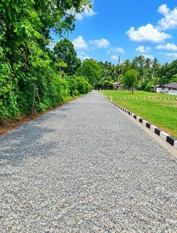 Udugampola නගරයෙන් සුපිරි ඉඩම් කොටස් විකිණීමට