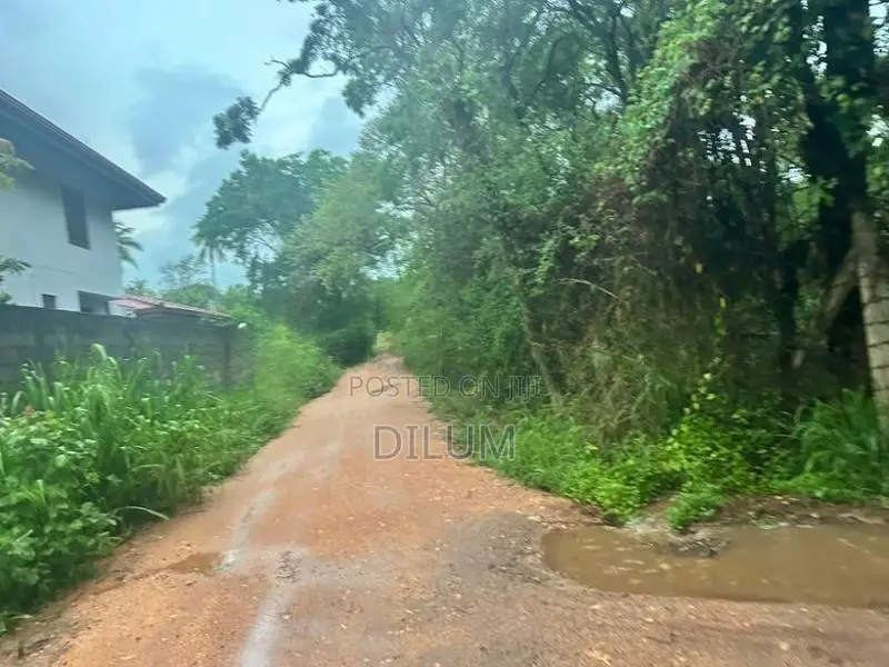 ලයිසියම් පාසල ආසන්නයේ ඉඩමක් විකිණීමට අනුරාධපුර