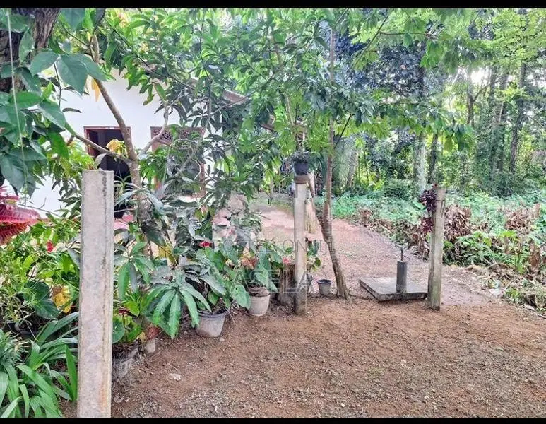 House For Sale In Hikkaduwa