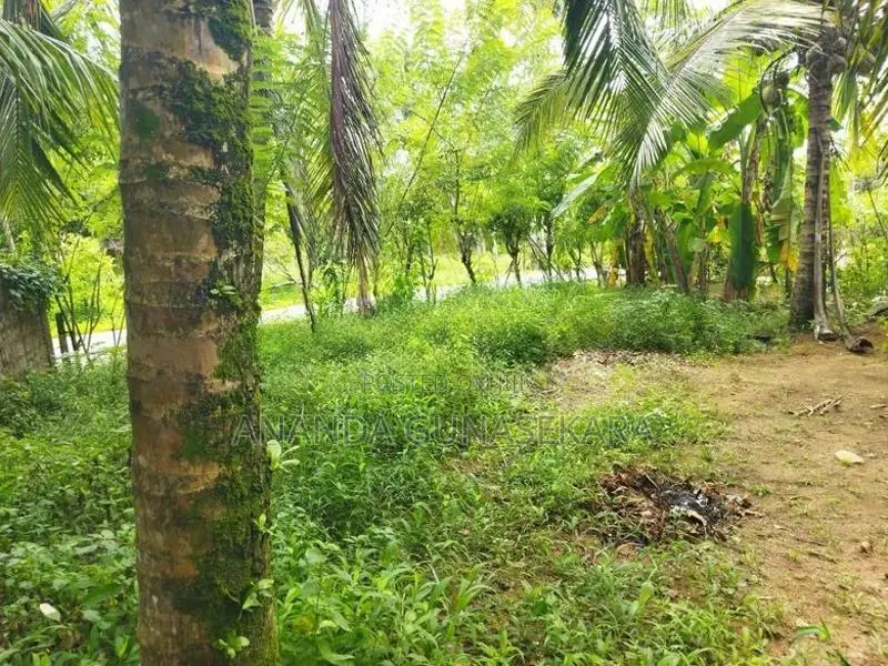 Land for Sale Kahathuduwa