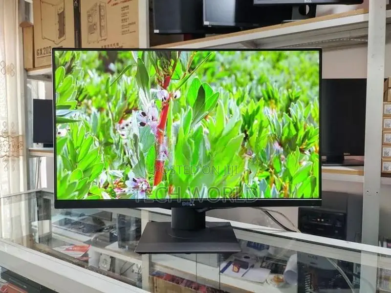Dell 24 Frameless IPS Monitors