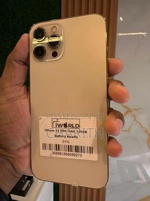 Apple iPhone 12 Pro Max (Used)