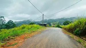 Lands for Sale in Pussellawa