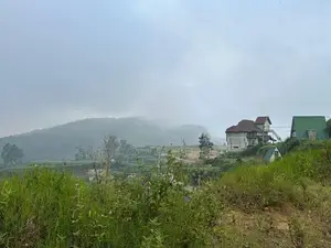 Lands for Sale in Ambewela