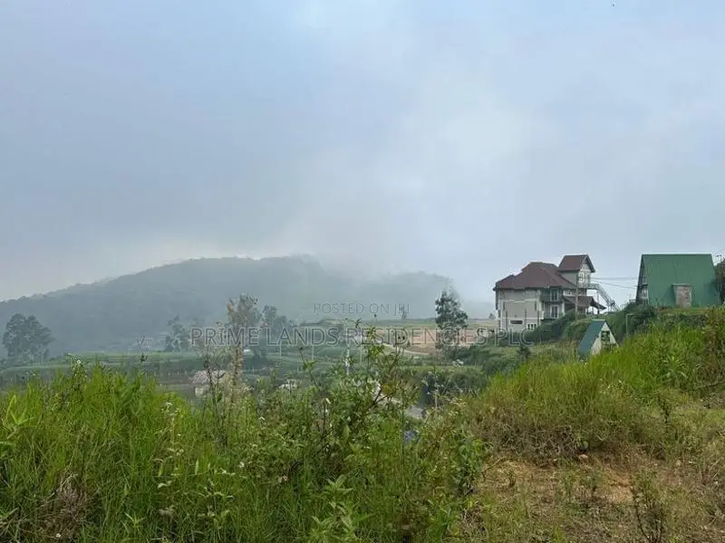 Lands for Sale in Ambewela