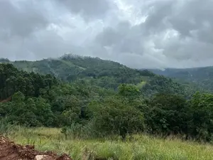 Lands for Sale in Ambewela