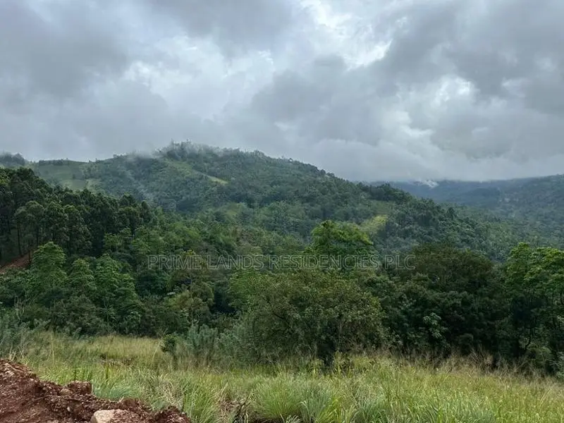 Lands for Sale in Ambewela