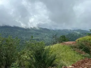 Lands for Sale in Ambewela