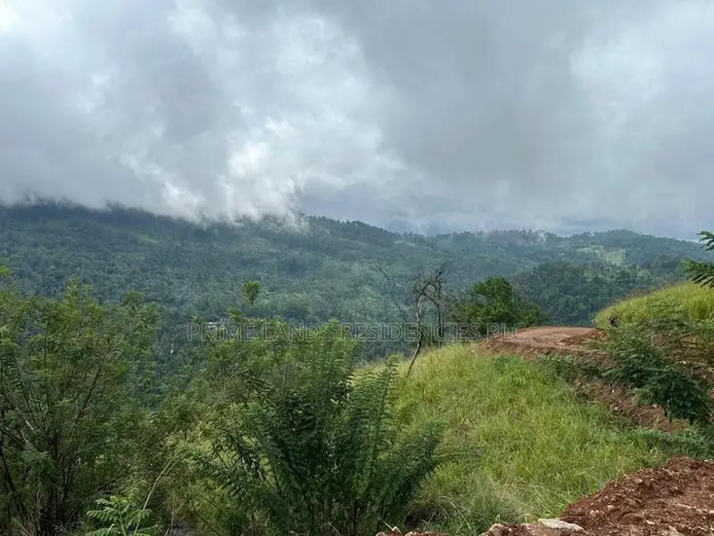 Lands for Sale in Ambewela