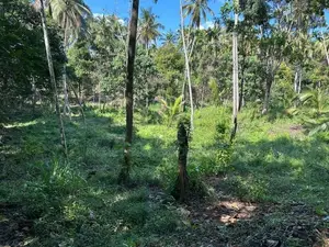 Lands for Sale in Gelioya