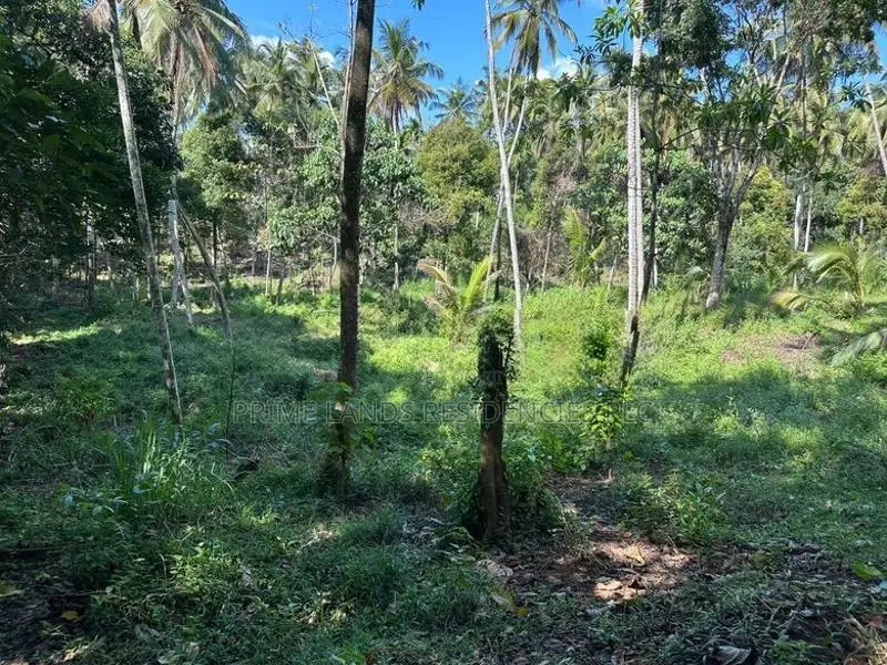Lands for Sale in Gelioya