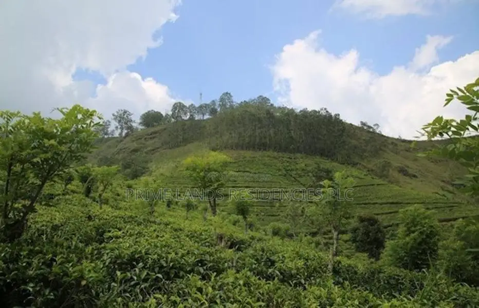 Lands for Sale in Bandarawela