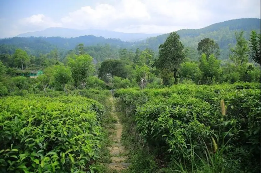 Lands for Sale in Bandarawela