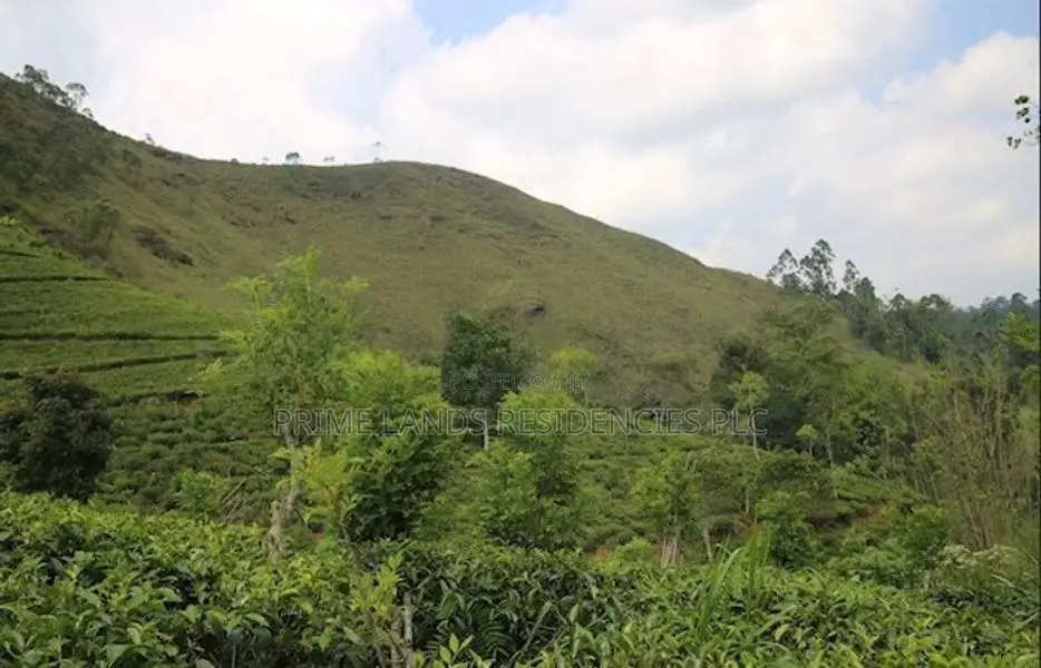 Lands for Sale in Bandarawela