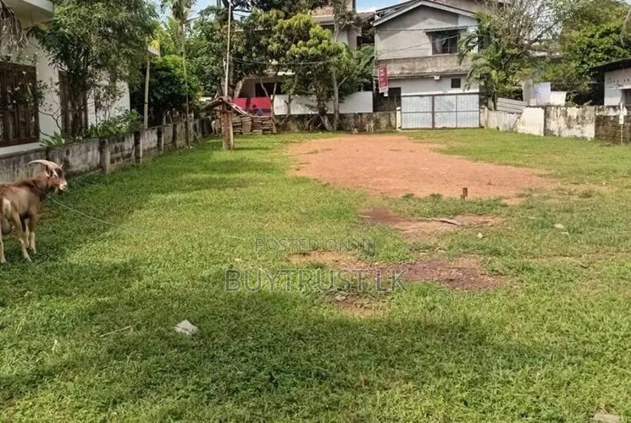 Land for Sale in Dehiwela