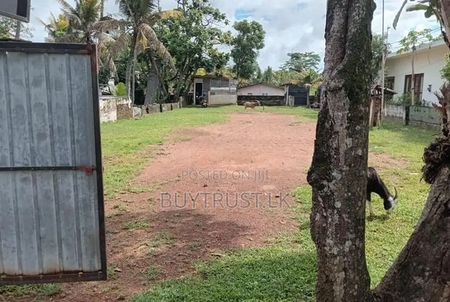 Land for Sale in Dehiwela