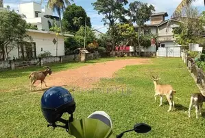 Land for Sale in Dehiwela