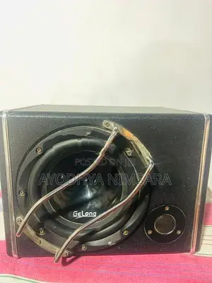 GeLong GL-1033 Active Subwoofer