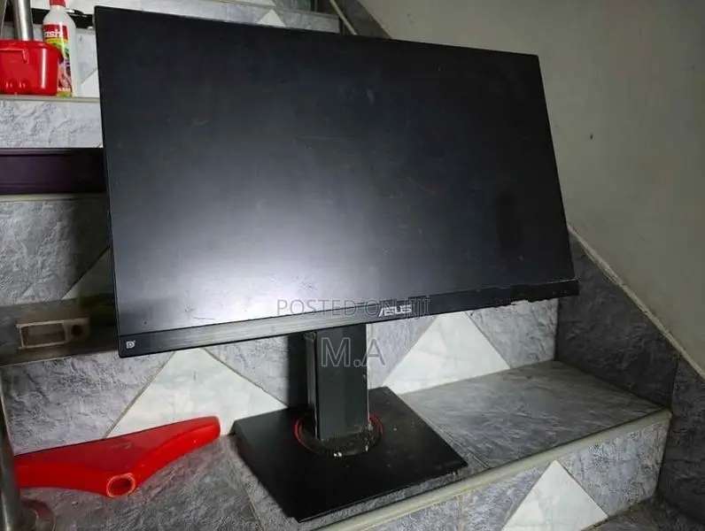 ASUS 24.5 Inch Monitor (Display Issues)