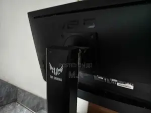ASUS 24.5 Inch Monitor (Display Issues)