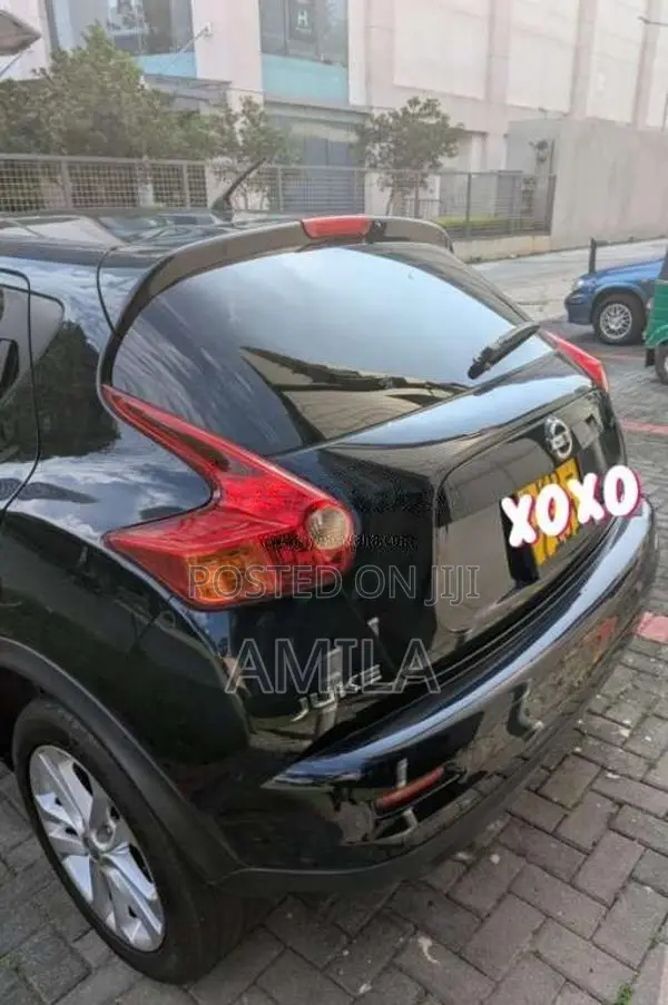 Nissan Juke 2010 SUV (Used)