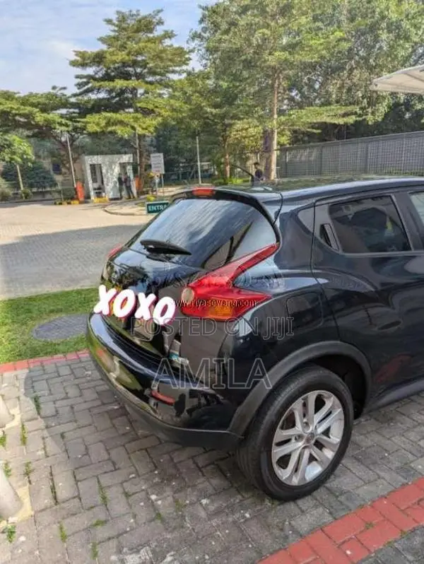 Nissan Juke 2010 SUV (Used)